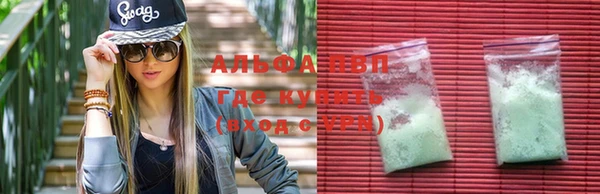 бошки Белокуриха
