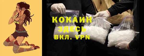 бошки Белокуриха