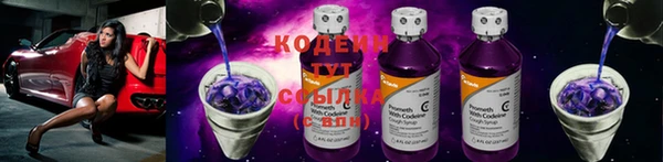бошки Белокуриха