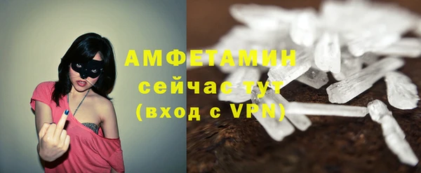 спиды Богданович