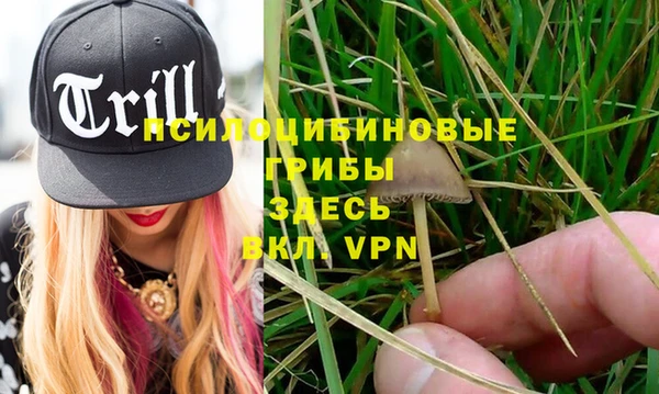 a pvp Богородицк
